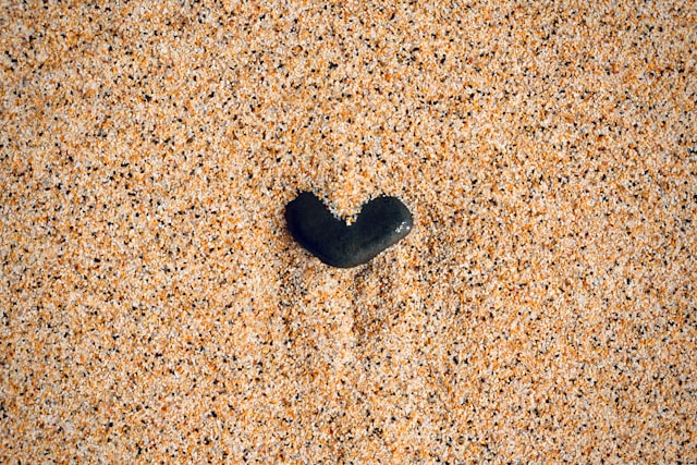 julian-berg-xikzpDFZq98-unsplash