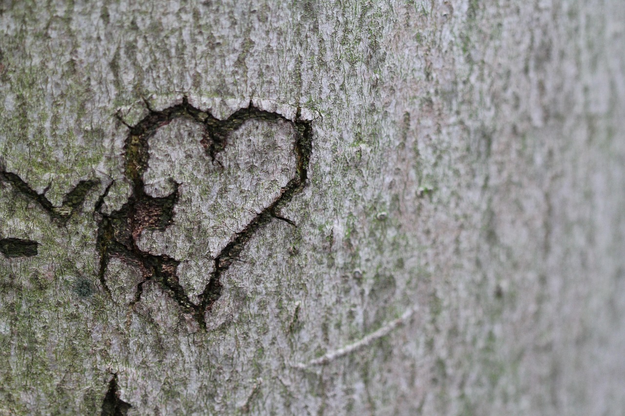 pixelheart-heart-431155_1280